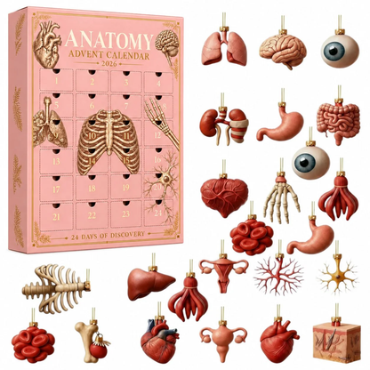 Anatomy Advent Calender