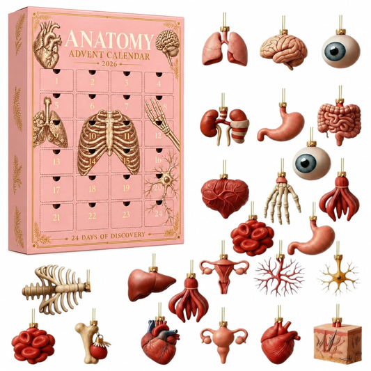 Anatomy Advent Calender