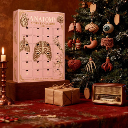 Anatomy Advent Calender